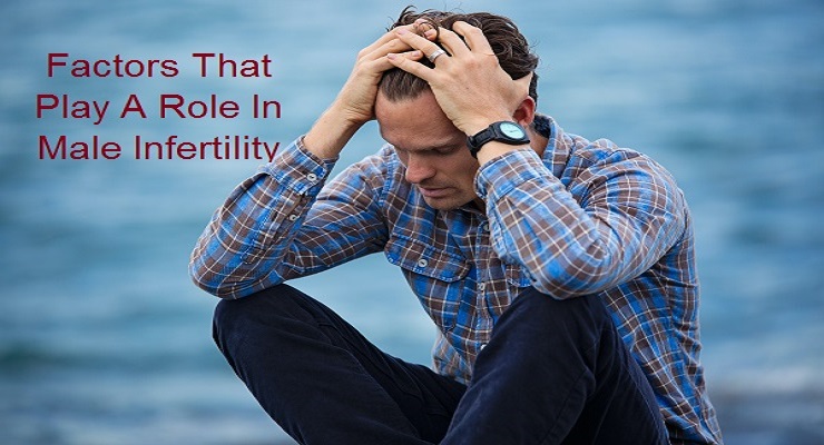 Factors That Play A Role In Male Infertility